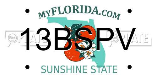 13BSPV Florida License Plate