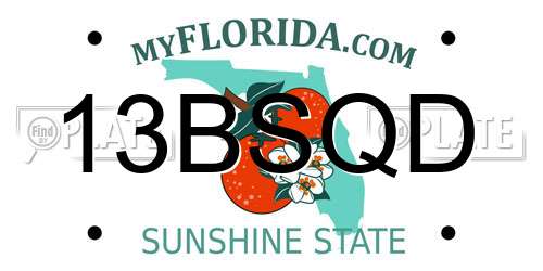13BSQD Florida License Plate