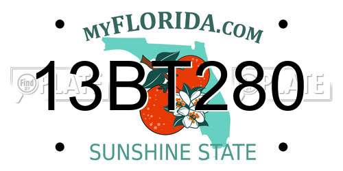 13BT280 Florida License Plate