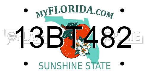 13BT482 Florida License Plate
