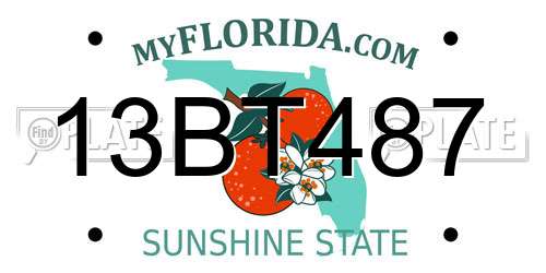 13BT487 Florida License Plate
