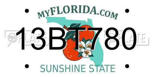 13BT780 Florida License Plate