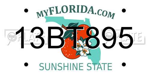 13BT895 Florida License Plate