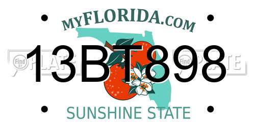 13BT898 Florida License Plate