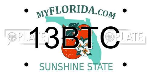 13BTC Florida License Plate