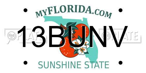 13BUNV Florida License Plate