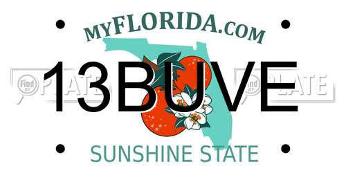 13BUVE Florida License Plate
