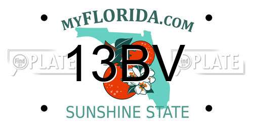 13BV Florida License Plate