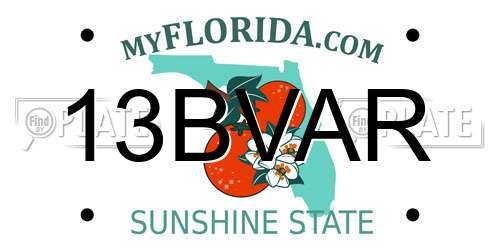 13BVAR Florida License Plate