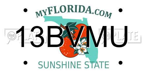 13BVMU Florida License Plate
