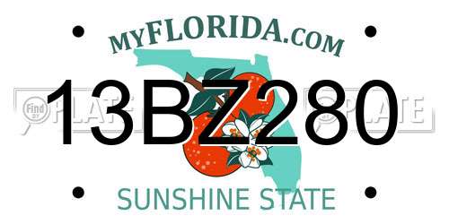 13BZ280 Florida License Plate