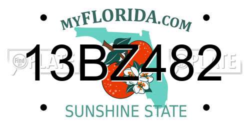13BZ482 Florida License Plate