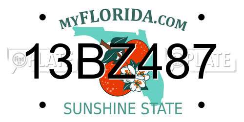 13BZ487 Florida License Plate