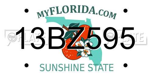 13BZ595 Florida License Plate