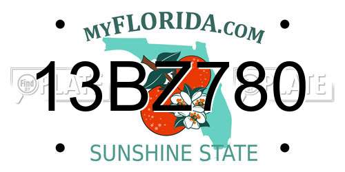13BZ780 Florida License Plate
