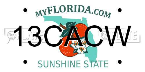 13CACW Florida License Plate
