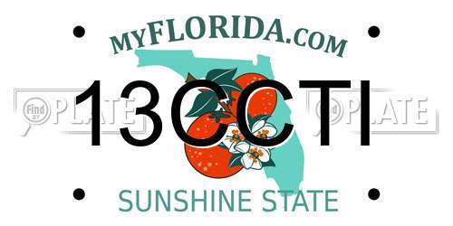 13CCTI Florida License Plate