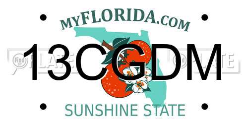13CGDM Florida License Plate