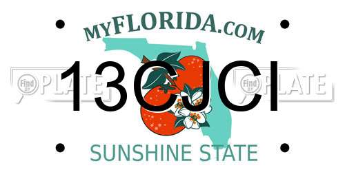 13CJCI Florida License Plate