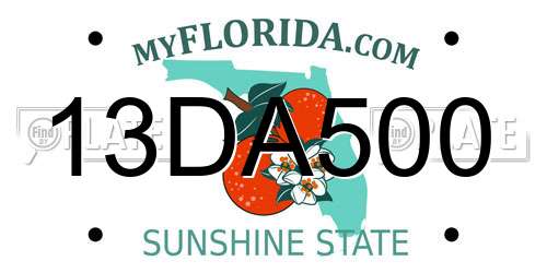 13DA500 Florida License Plate