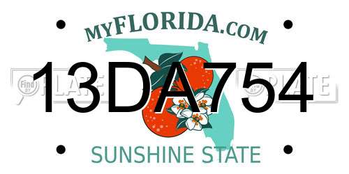 13DA754 Florida License Plate