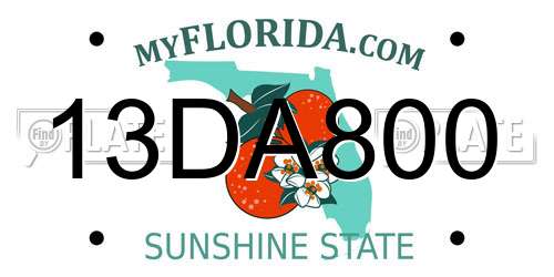 13DA800 Florida License Plate