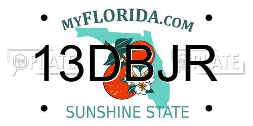 13DBJR Florida License Plate