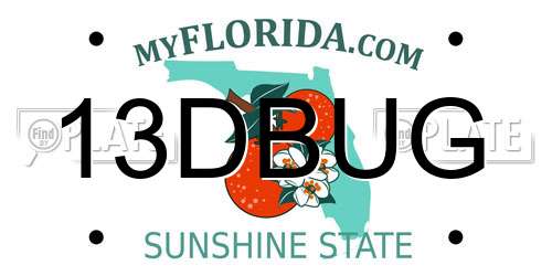 13DBUG Florida License Plate