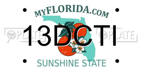 13DCTI Florida License Plate