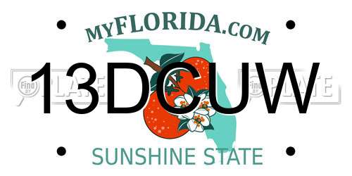 13DCUW Florida License Plate
