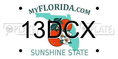 13DCX Florida License Plate