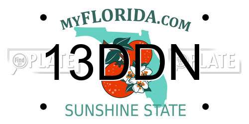 13DDN Florida License Plate