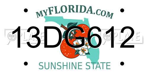 13DG612 Florida License Plate