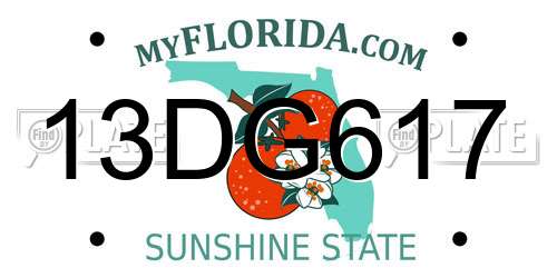 13DG617 Florida License Plate