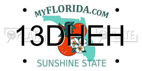 13DHEH Florida License Plate