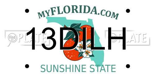 13DILH Florida License Plate