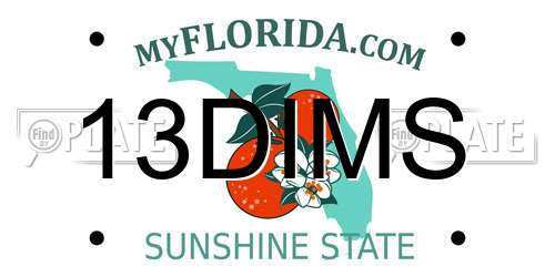 13DIMS Florida License Plate