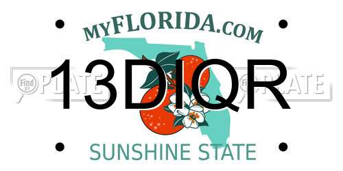 13DIQR Florida License Plate