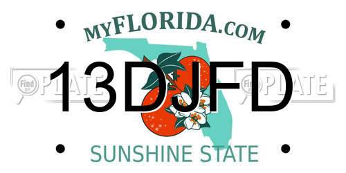 13DJFD Florida License Plate