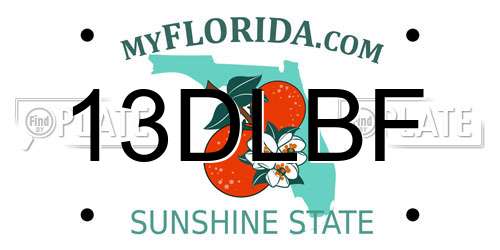 13DLBF Florida License Plate