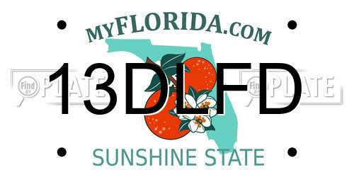 13DLFD Florida License Plate