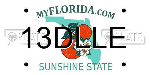 13DLLE Florida License Plate