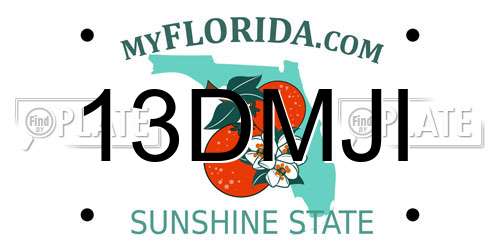 13DMJI Florida License Plate