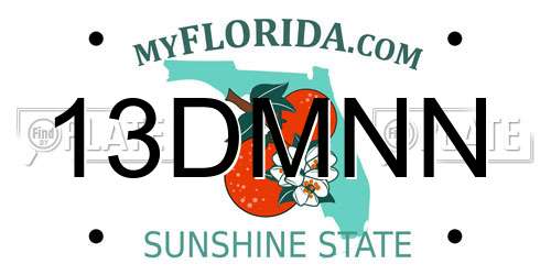 13DMNN Florida License Plate