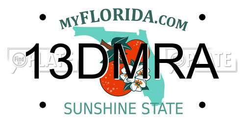 13DMRA Florida License Plate