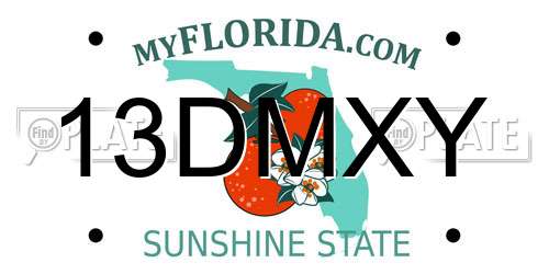 13DMXY Florida License Plate