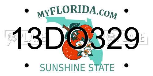 13DO329 Florida License Plate