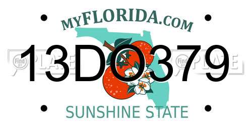13DO379 Florida License Plate