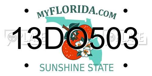 13DO503 Florida License Plate