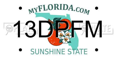 13DPFM Florida License Plate
